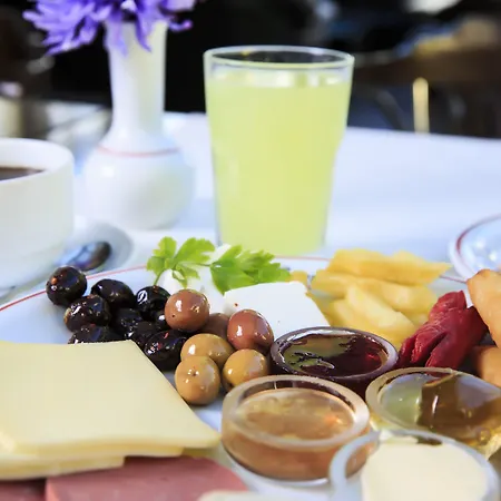 Hotel Anka Business Park