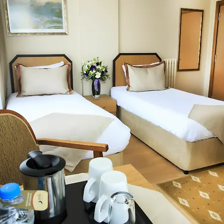 فندق Anka Business Park 3*